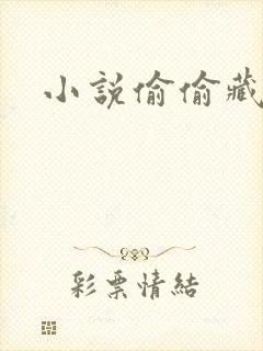 小说偷偷藏不住