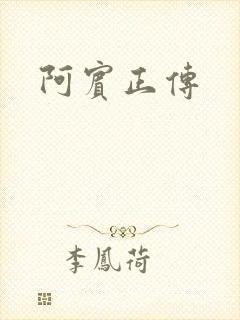 阿宾正传