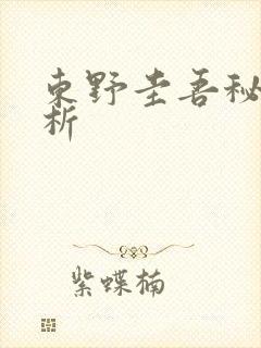 东野圭吾秘密解析
