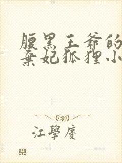 腹黑王爷的绝色弃妃狐狸小姝完整版