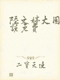 陆文婷大团圆小说免费