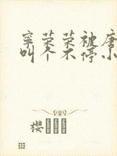 宁荣荣被唐三桶叫个不停小说封面