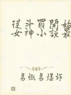 从斗罗开始俘获女神小说最新章节列表封面