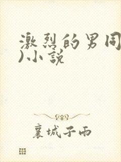 激烈的男同(h)小说