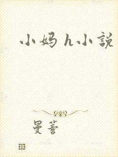 小妈 h小说