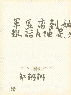 军区脔到她哭h粗话h他是疯批