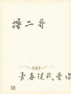 撸二哥