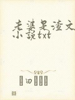 老婆是渣文大佬小说txt