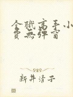 全职高手小说免费无弹窗封面