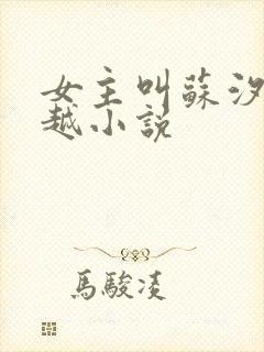 女主叫苏汐的穿越小说