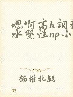 嗯啊高h调教喷水双性np小说