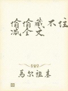 偷偷藏不住无删减全文