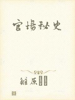 官场秘史