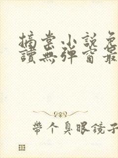 摘棠小说免费阅读无弹窗最新章节封面
