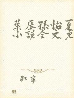 叶辰孙怡夏若雪小说全文免费阅读