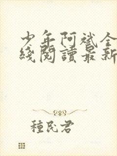 少年阿斌全文在线阅读最新章节免费阅读封面