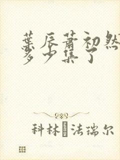 叶辰萧初然更新多少集了