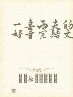 一妻两夫的小说好看完结文封面