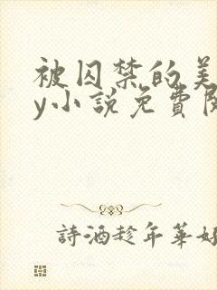 被囚禁的美人by小说免费阅读