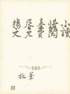 杨辰秦惜小说全文免费阅读最新封面