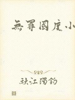 无罪国度小说