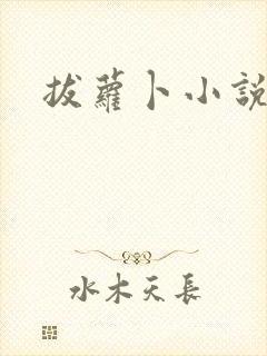 拔萝卜小说