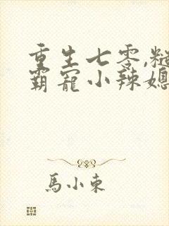 重生七零,糙汉霸宠小辣媳