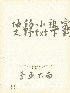 他的小祖宗又甜又野txt下载