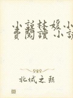 小说林媛小正免费阅读 小说