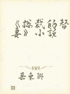 《总裁的替身前妻》小说