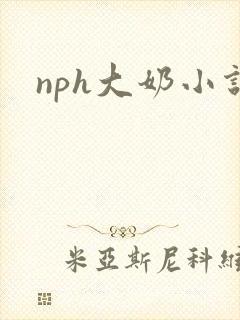 nph大奶小说