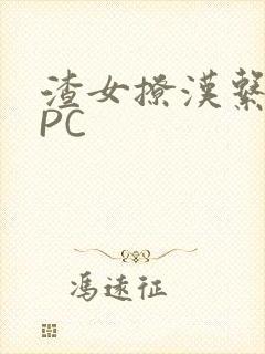 渣女撩汉系统NPC