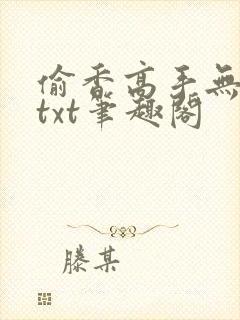 偷香高手无删减txt笔趣阁