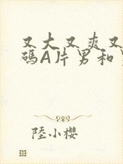 又大又爽又黄无码A片男和男