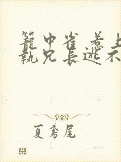 笼中雀 惹上偏执兄长逃不掉