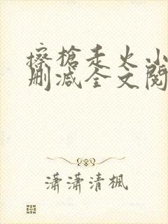 擦枪走火小说无删减全文阅读