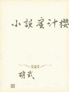 小说蜜汁樱桃