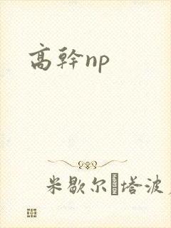 高干np