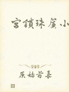 宫锁珠帘小说封面