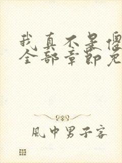 我真不是傻子了全部章节免费阅读
