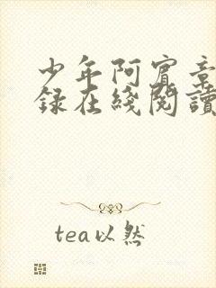 少年阿宾章节目录在线阅读封面