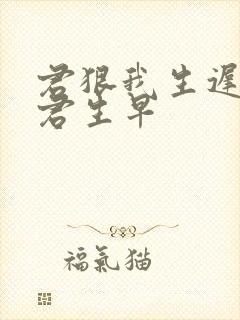 君狠我生迟我恨君生早封面