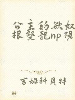 公主的欲奴h四根双龙np视频