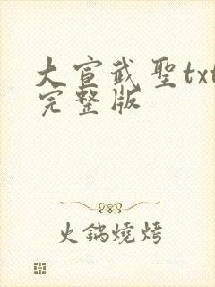 大宣武圣txt完整版
