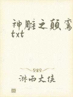 神雕之颠鸾倒凤txt封面