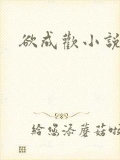 欲成欢小说