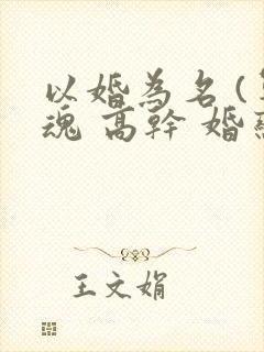 以婚为名 (军魂 高干 婚恋)