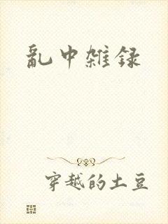 乱中杂录