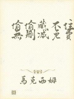 偷偷藏不住全文无删减免费阅读
