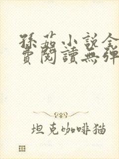 孙茹小说全文免费阅读无弹窗